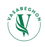 vasabeghon.com
